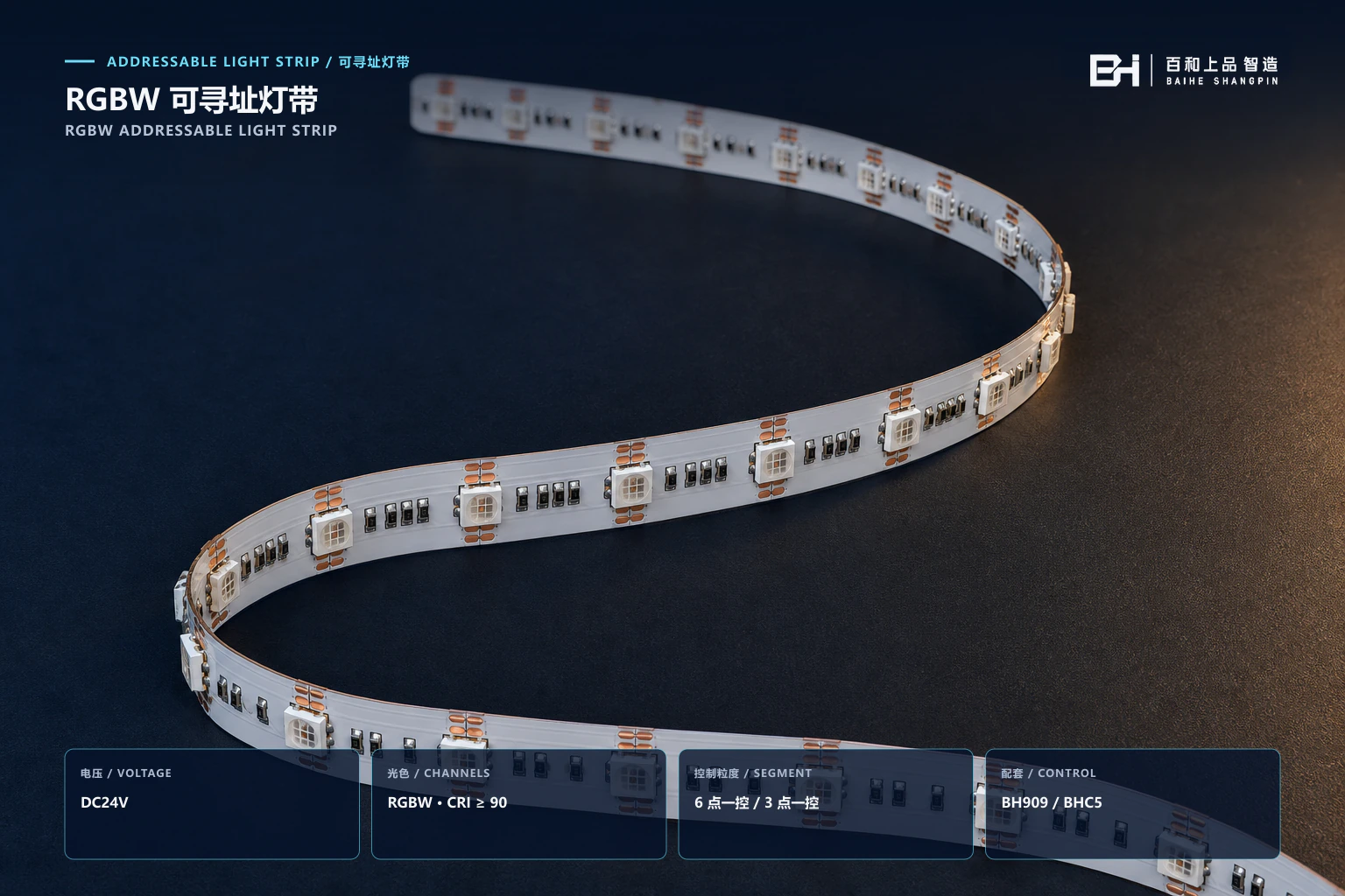 DC24V · RGBW · 6/3 points per segment RGBW Addressable Light Strip